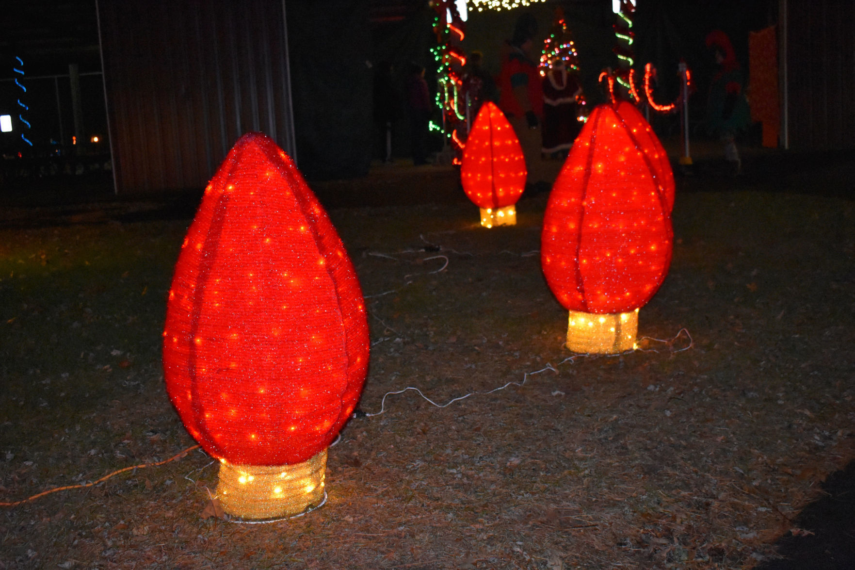 Chandler gallery -- lighted path